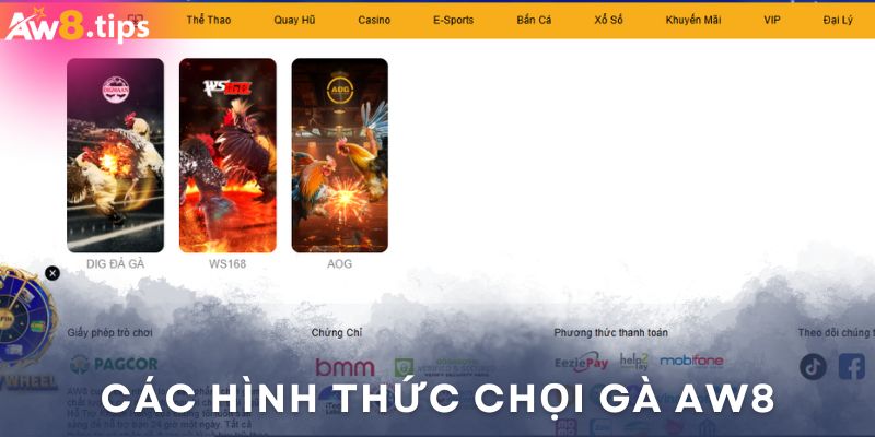 3 hình thức đá gà chọi hay nhất 2025