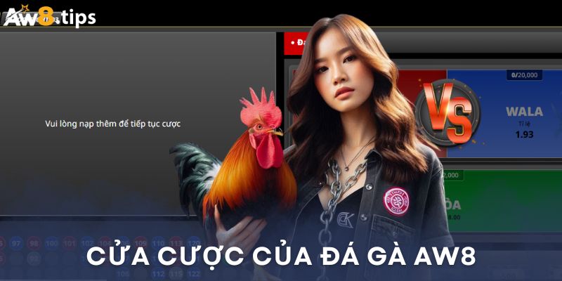 Giới thiệu 3 cửa cược chính của sảnh đá gà