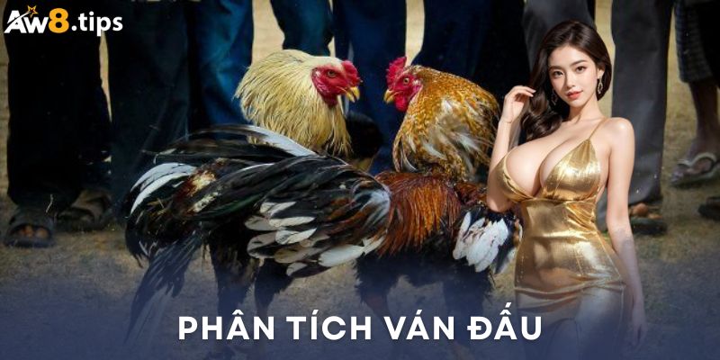 Phân tích rõ ràng ván đấu trực tiếp