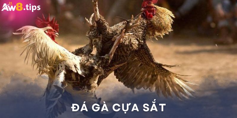 Thông tin về đá gà cửa sắt