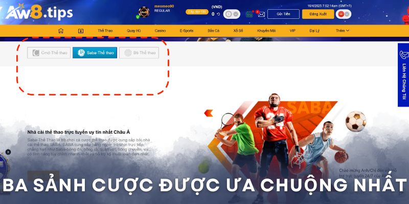 Các sảnh cược đã phục vụ cược thủ châu Á suốt nhiều năm