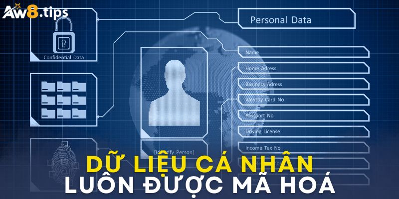 Dữ liệu cá nhân trên Aw8 luôn được mã hóa an toàn