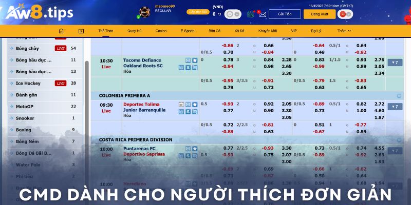 Cách đặt cược sảnh CMD Sports