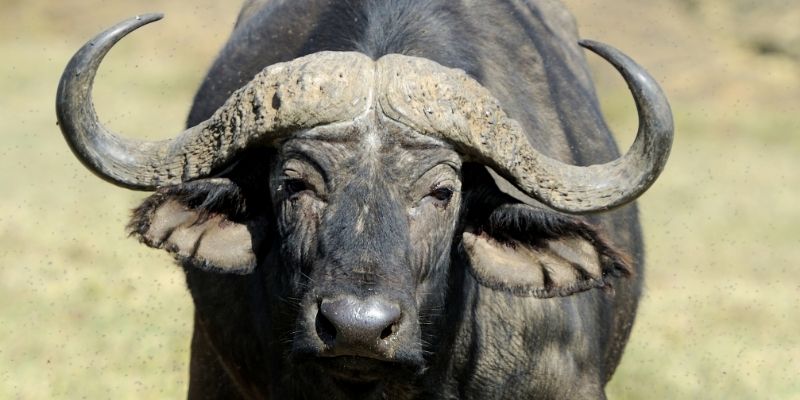 Học hỏi các mẹo từ người chơi lâu năm tránh sai lầm