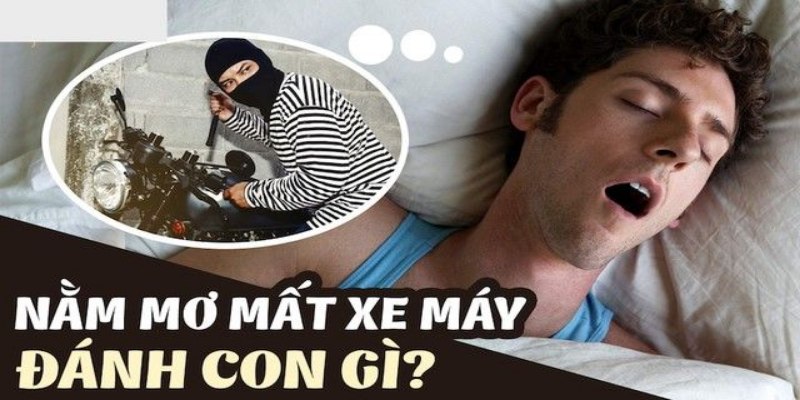 Mẹo giải mã chiêm bao khi cược lô đề