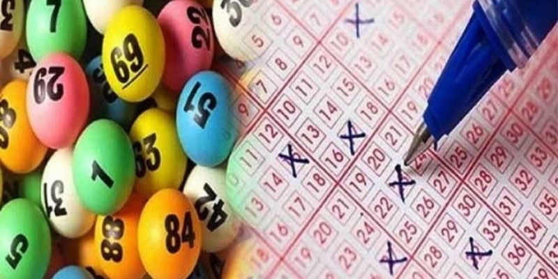 Mẹo khai thác Thần Mèo Xổ Số giúp tra cứu nhanh