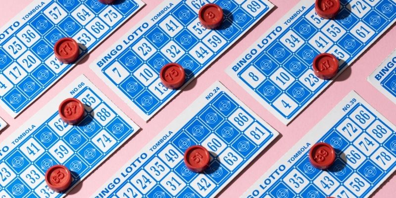 Tối ưu thời giờ nghiên cứu nhờ đề về 161 hôm sau đánh con gì