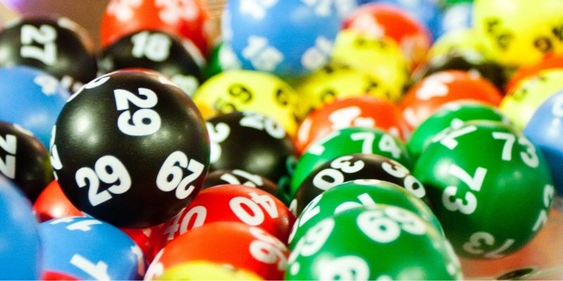 4 Càng Ăn Bao Nhiêu