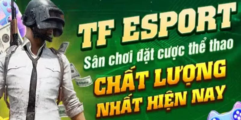 Trải nghiệm sảnh TF hấp dẫn mọi trận đấu