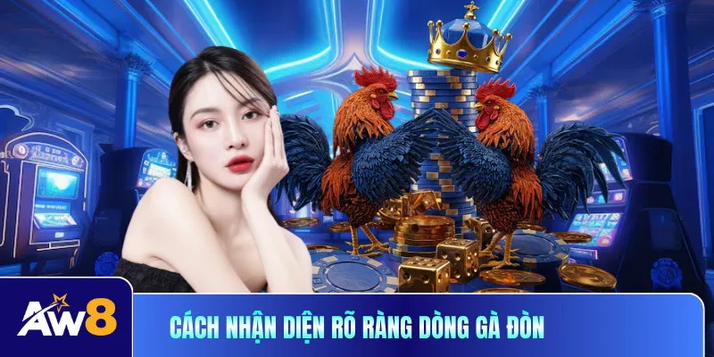 Cách nhận diện rõ ràng dòng gà đòn