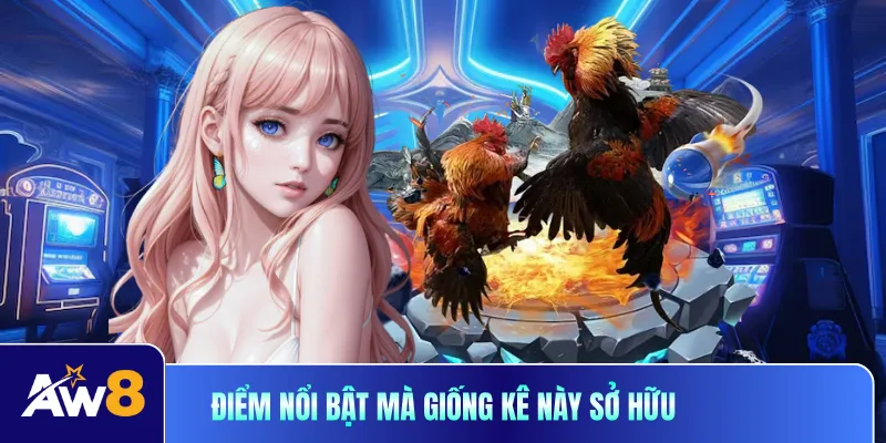 Điểm nổi bật mà giống kê này sở hữu