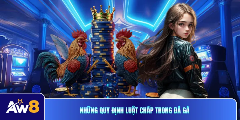 Những quy định luật chấp trong đá gà