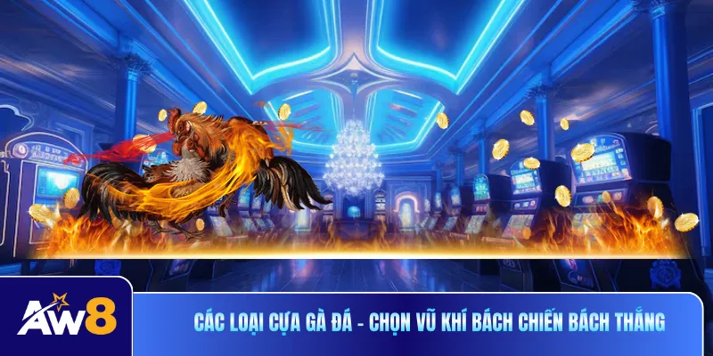 Các Loại Cựa Gà Đá - Chọn Vũ Khí Bách Chiến Bách Thắng