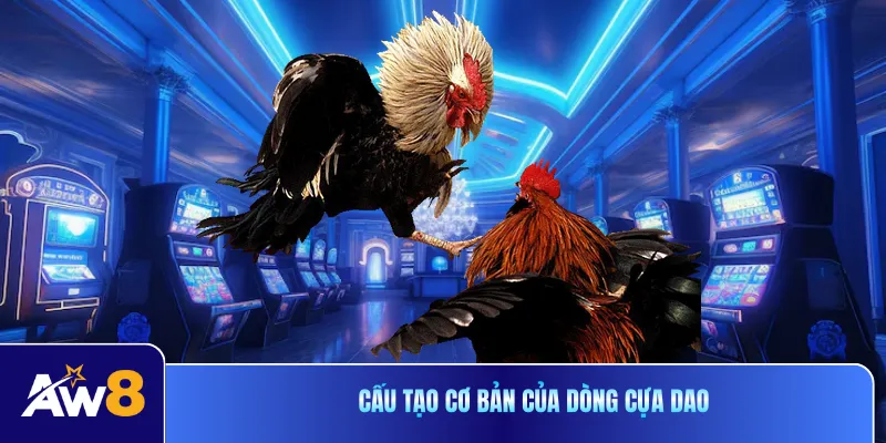Cấu tạo cơ bản của dòng cựa dao