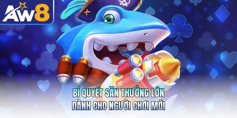 Bí quyết săn thưởng lớn dành cho người chơi mới