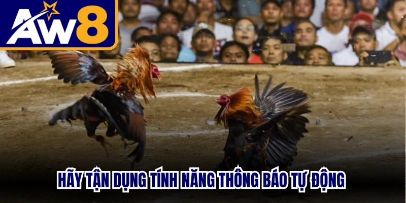 Hãy tận dụng tính năng thông báo tự động trong ván chọi kê