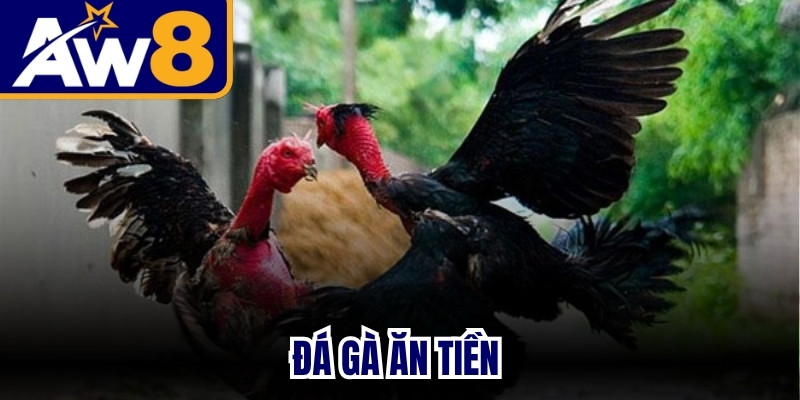 Đá Gà Ăn Tiền