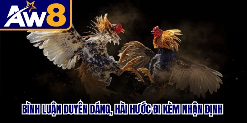 Bình luận duyên dáng, hài hước đi kèm những nhận định chuyên sâu