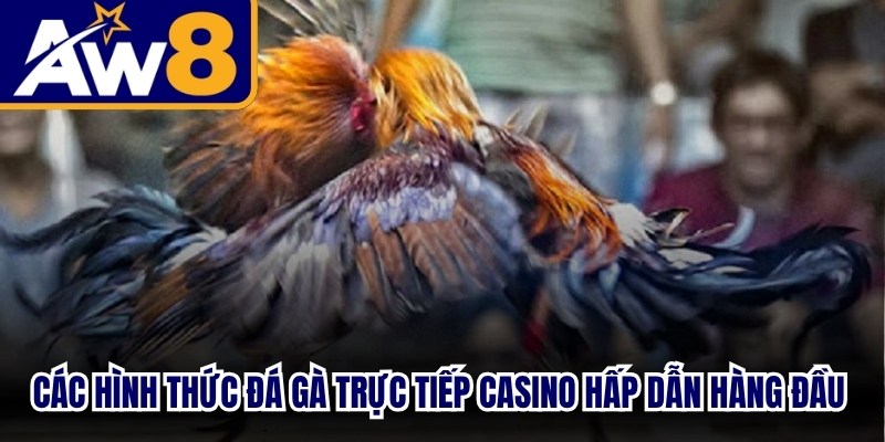 Các hình thức đá gà trực tiếp casino hấp dẫn hàng đầu hiện nay