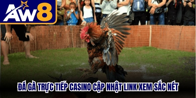Đá gà trực tiếp casino cập nhật link xem sắc nét, bình luận tiếng Việt siêu đỉnh