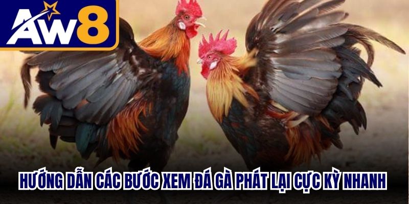 Hướng dẫn các bước xem đá gà phát lại cực kỳ nhanh chóng, dễ dàng
