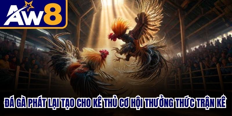 Đá gà phát lại tạo cho kê thủ cơ hội thưởng thức trận kê chiến đỉnh cao